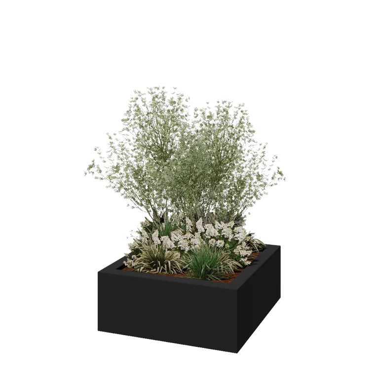 Jardinieră din fibră de sticlă - Pătrat - 100 x 100 x 40 cm - RAL7021 mat (gri negru) - Cu fund