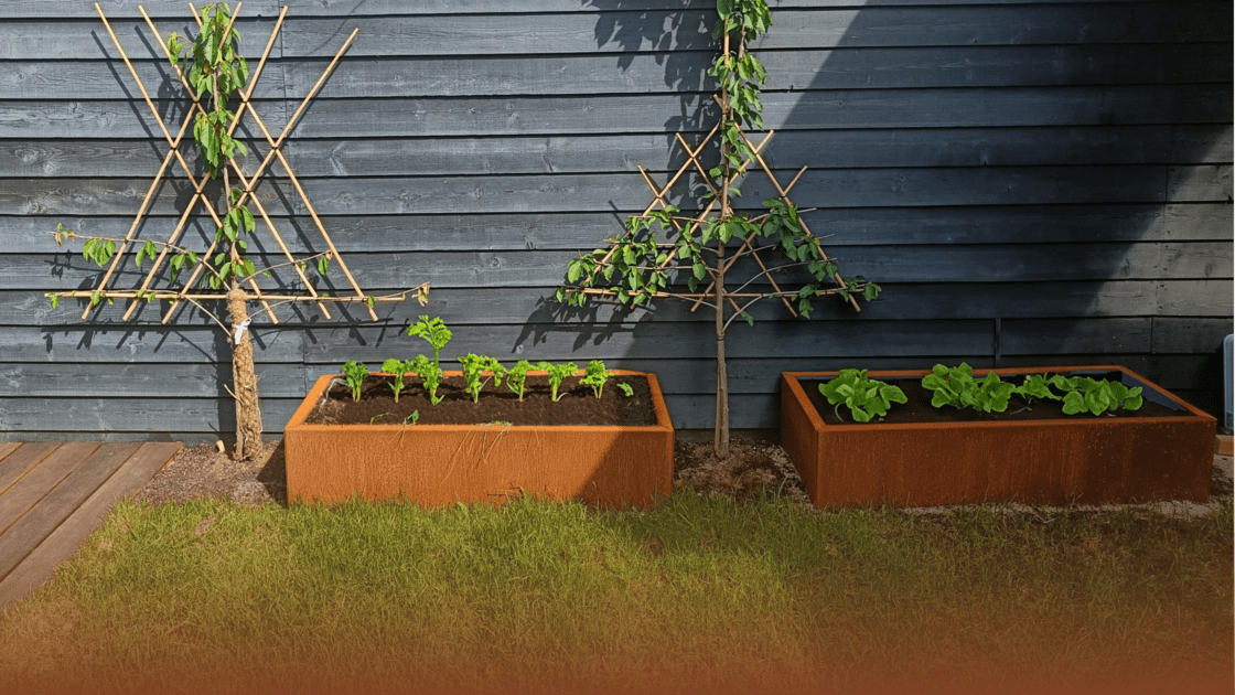 De ce oțelul corten este perfect pentru o grădină de legume